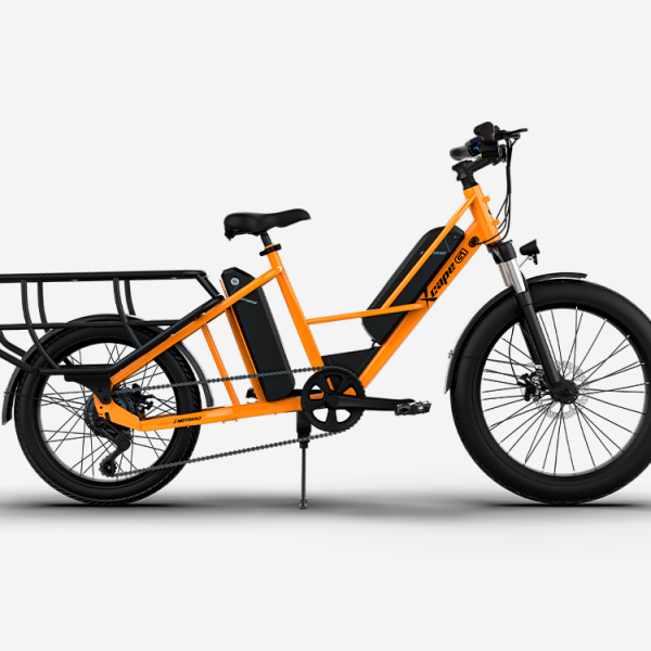 G1 Cargo E-Cycle